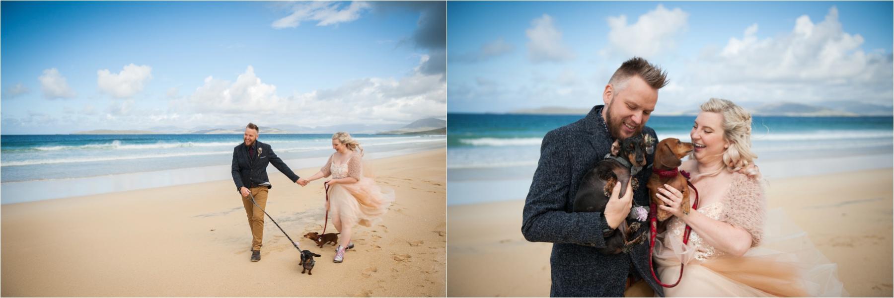 Newlyweds walk along Scarista Beach with their dogs for wedding portraits. 