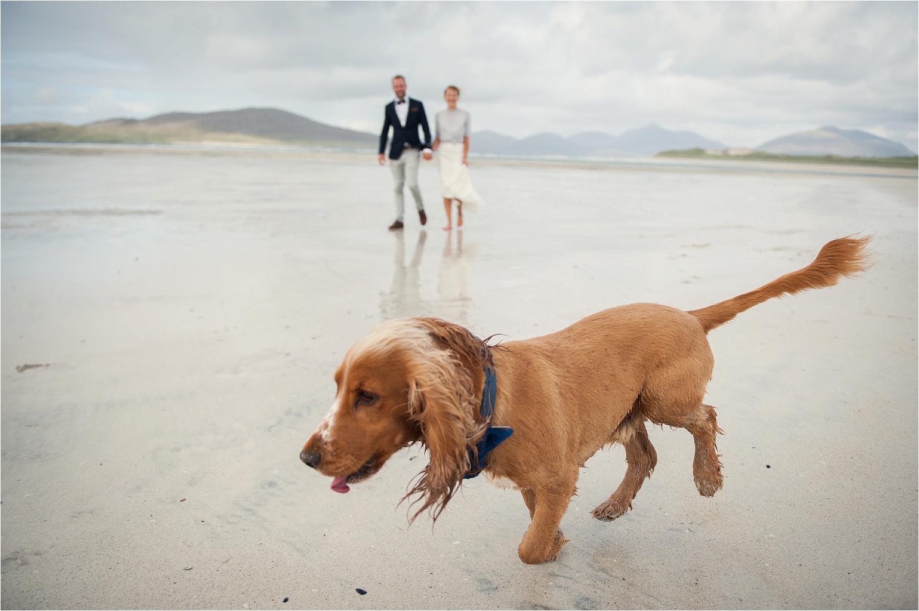 elopement wedding photography including dogs on isle of harris